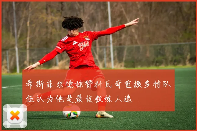 希斯菲尔德称赞科瓦奇重振多特队伍认为他是最佳教练人选
